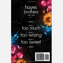 Hayes Brothers Series vol. 1
