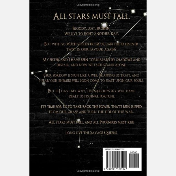 Zodiac Academy:Sorrow and Starlight