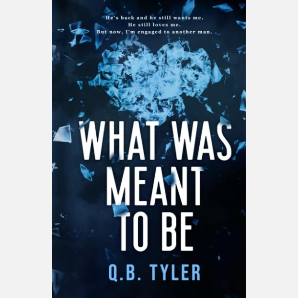 What Was Meant To Be Hardcover Ny