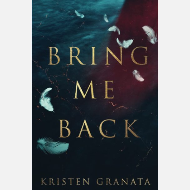 Bring Me Back Paperback Ny Diskret