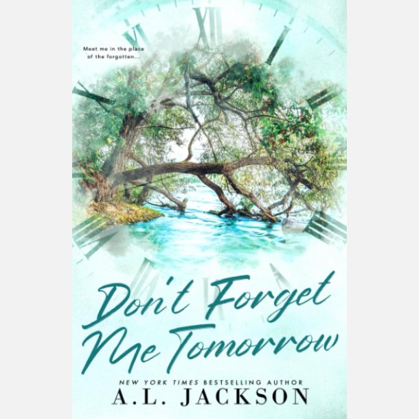 Don't Forget Me Tomorrow Paperback Ny Diskret