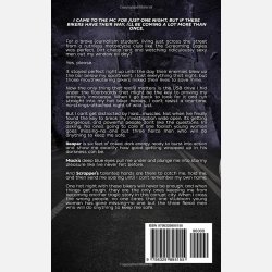 One Night with the Bikers