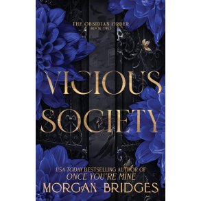 VICIOUS SOCIETY