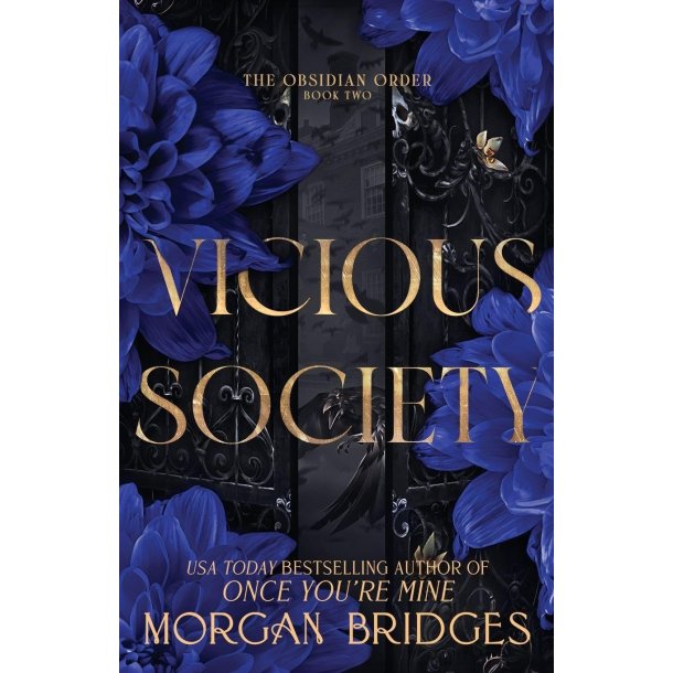 VICIOUS SOCIETY