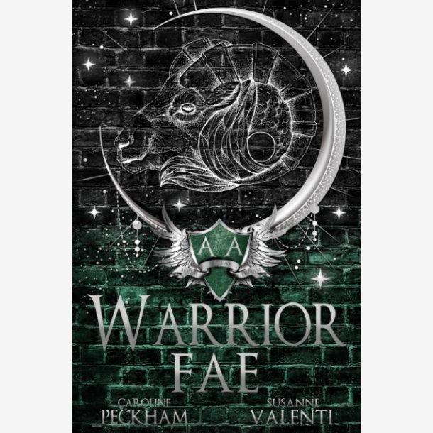 Warrior Fae Paperback Ny Diskret