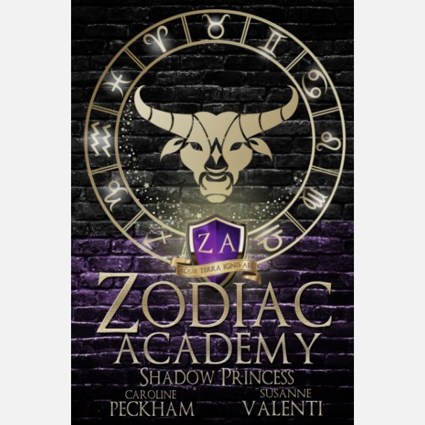 Zodiac Academy: Shadow Princess