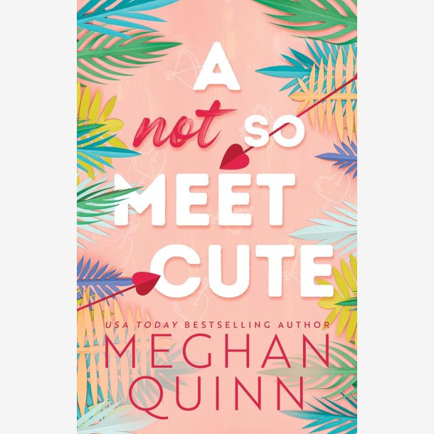 A not so Meet Cute Paperback Ny Diskret