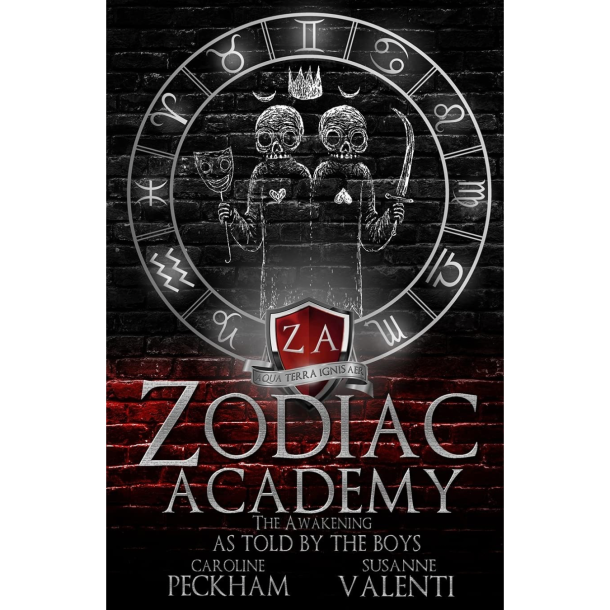 THE AWAKENING AS TOLD BY THE BOYS