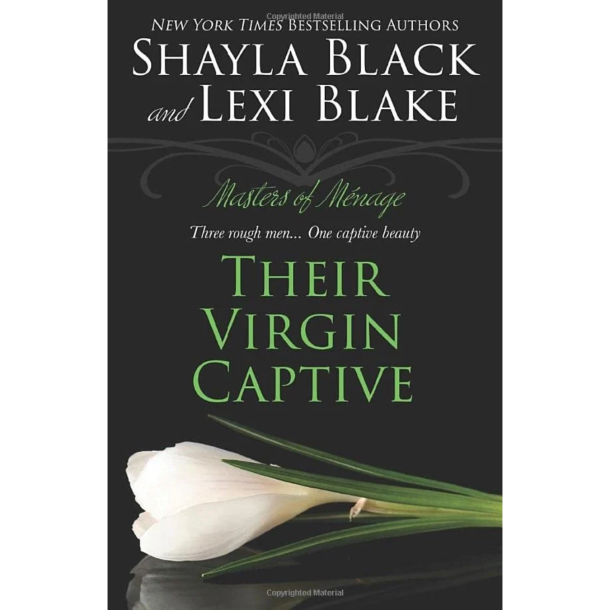 THEIR VIRGIN CAPTIVE