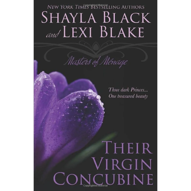 THEIR VIRGIN CONCUBINE