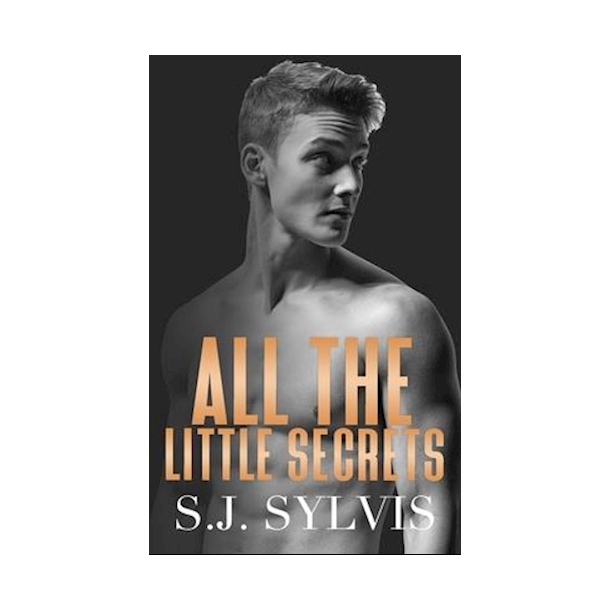 All the Little Secrets Paperback Ny